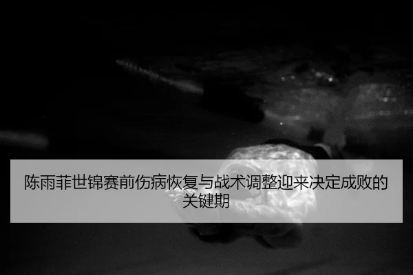 chen-yu-fei-shi-jin-sai-qian-shang-bing-hui-fu-yu-zhan-shu-tiao-zheng-ying-lai-jue-ding-cheng-bai-de-guan-jian-qi-2-772.jpg